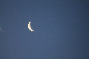 balsamic-moon-feb-17-2012-017