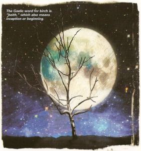 8c089efb554590e1dbfeda6817823d7e