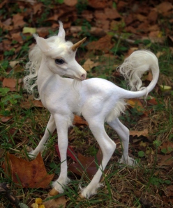 heres-a-baby-unicorn-22010-1301022341-3
