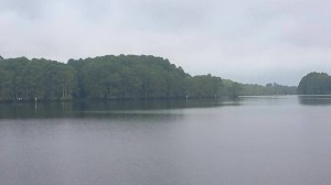 11695746_10204441938277690_2031249307646187248_n