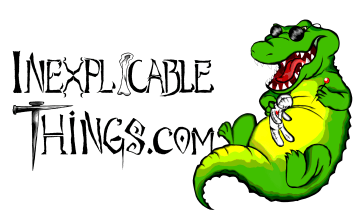 inexplicable-bumper-white-bg-reversed