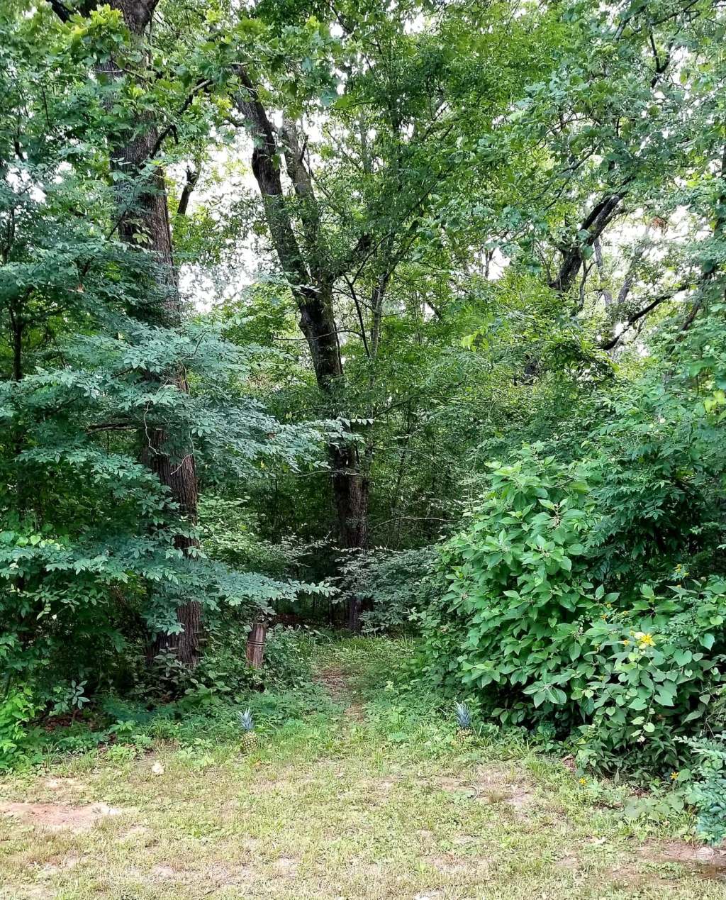 Venerating Land Spirits