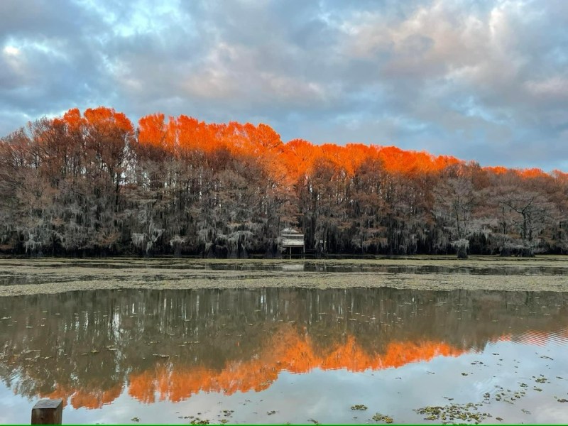 Let’s talk Yule/Winter Solstice vs.&nbsp;Jül